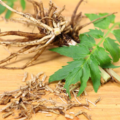 Valerian Root Extract