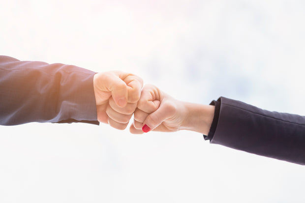 <h3>Our Promise</h3>