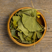 Ginkgo Biloba Extract