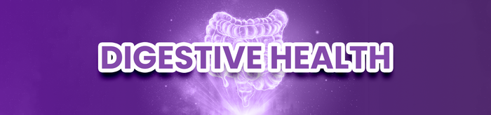 <h2>Digestive Health</h2>